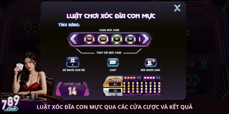 Luật Xóc Đĩa Con Mực qua các cửa cược và kết quả
